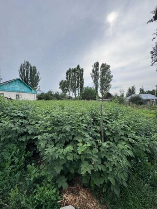 4 соток, Для строительства, Красная книга Бишкек - сүрөт 5