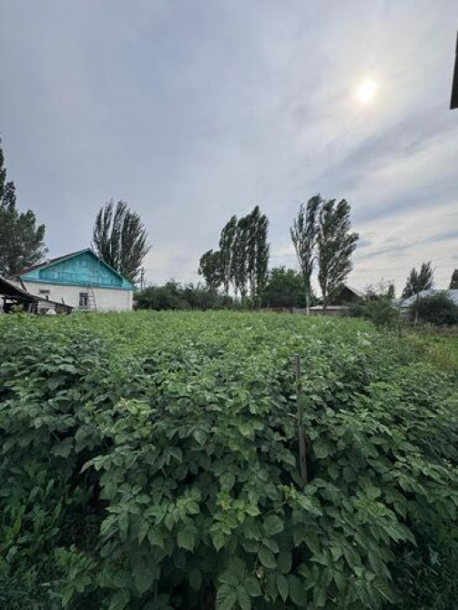 4 соток, Для строительства, Красная книга Бишкек - сүрөт 3