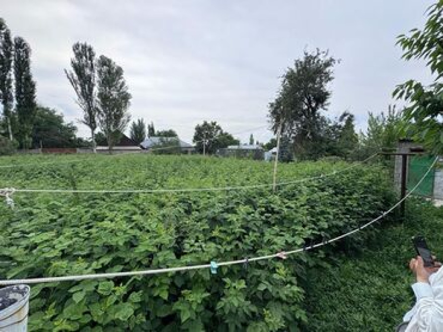 4 соток, Для строительства, Красная книга Бишкек - сүрөт 4