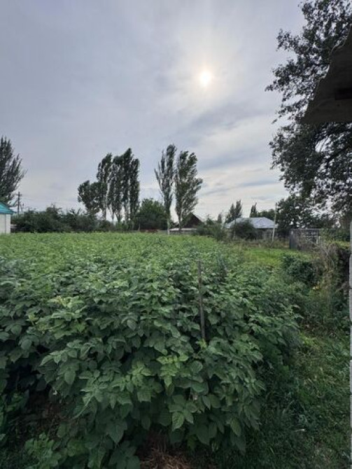 4 соток, Для строительства, Красная книга Бишкек - сүрөт 6