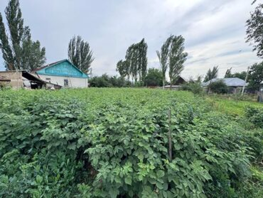 4 соток, Для строительства, Красная книга Бишкек - сүрөт 2