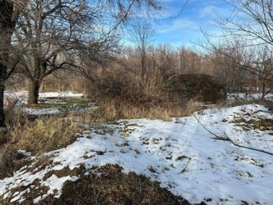 5 соток, Для сельского хозяйства, Красная книга, Договор купли-продажи Bishkek - photo 2