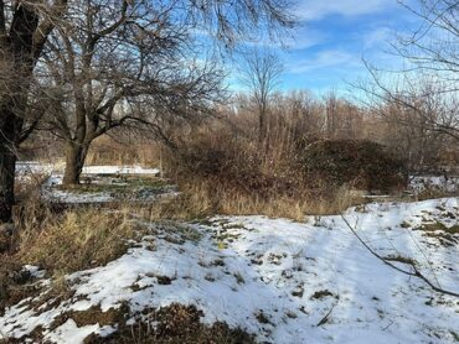 5 соток, Для сельского хозяйства, Красная книга, Договор купли-продажи Bishkek - photo 1