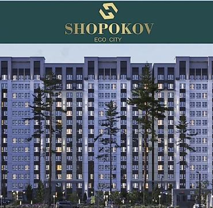1 комната, 53 м², Индивидуалка, 12 этаж, Косметический ремонт Бишкек - изображение 2