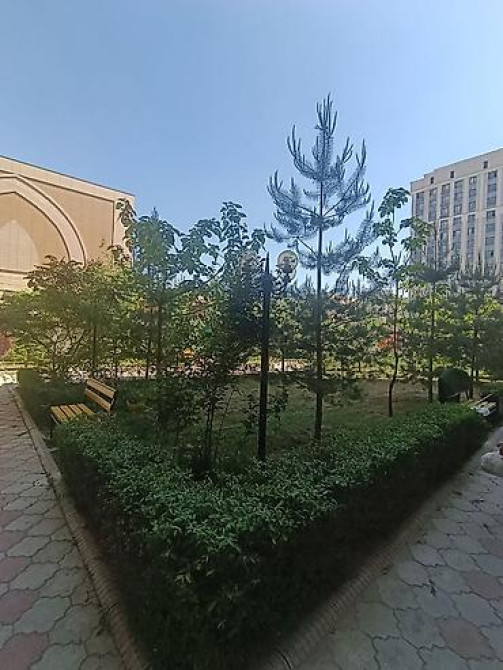 2 комнаты, 51 м², Элитка, 3 этаж, Старый ремонт Бишкек - изображение 14