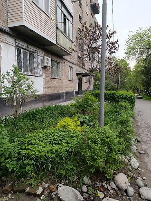 2 комнаты, 50 м², Индивидуалка, 1 этаж, Косметический ремонт Бишкек - изображение 3