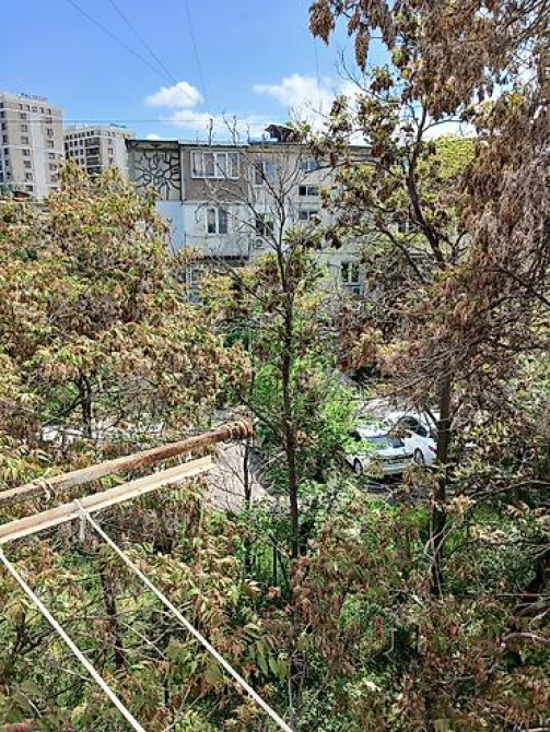 2 комнаты, 53 м², 105 серия, 3 этаж, Старый ремонт Бишкек - изображение 5