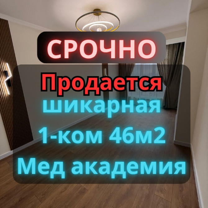 1 комната, 46 м², Элитка, 12 этаж, Дизайнерский ремонт Бишкек - сүрөт 1